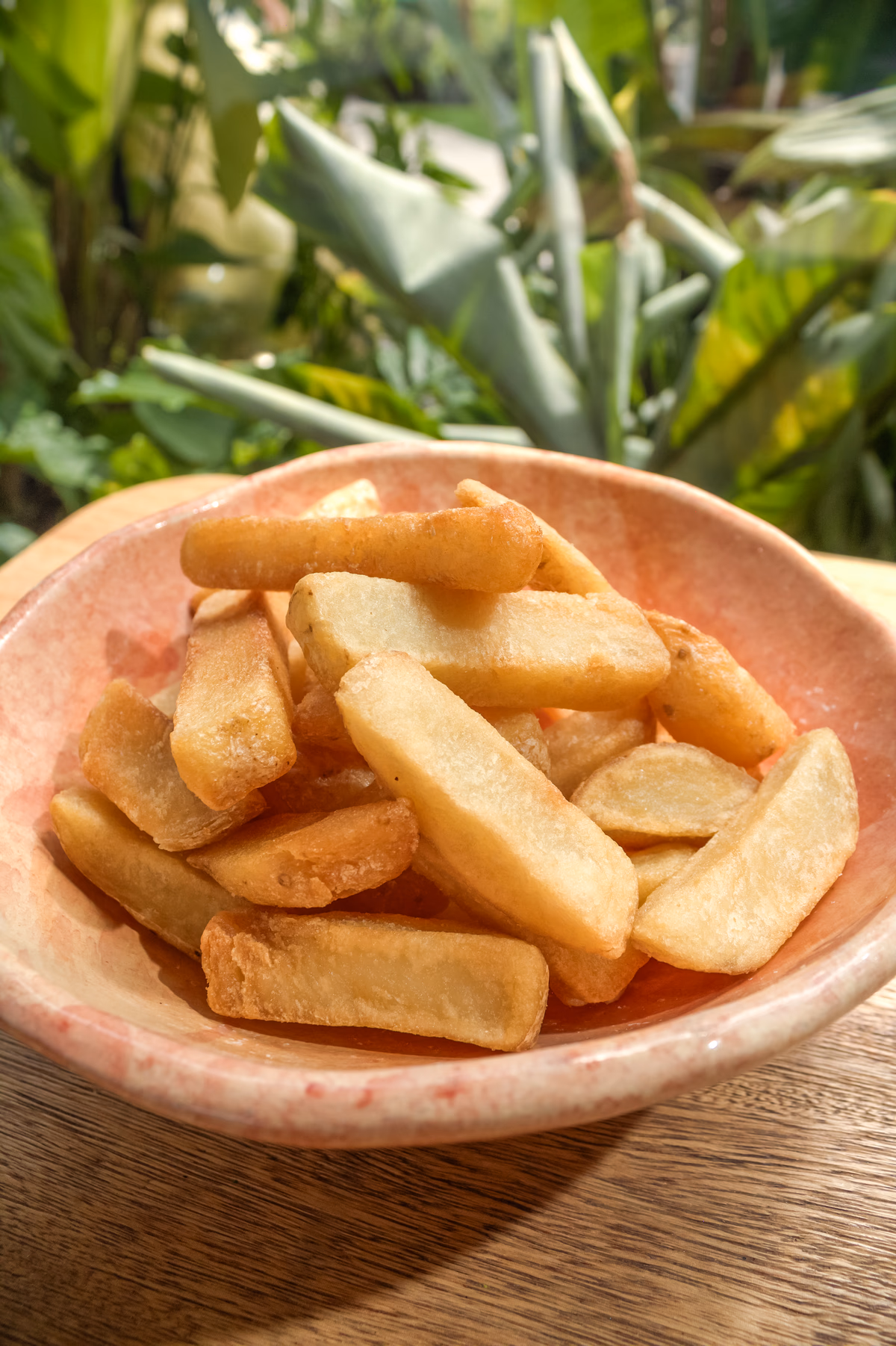 Papa casco frita